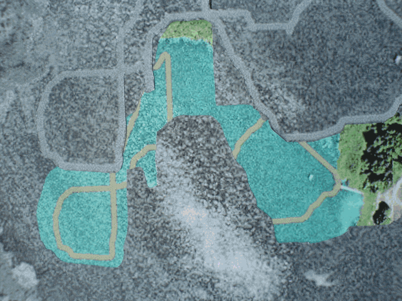 Laura Pearsall 448.gif